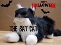 Famous Batcat Mask